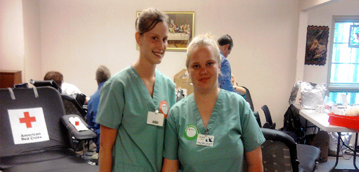 big-meadows-nursing-home-job-description-list